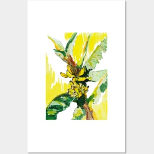 Banana palm Posters and Art